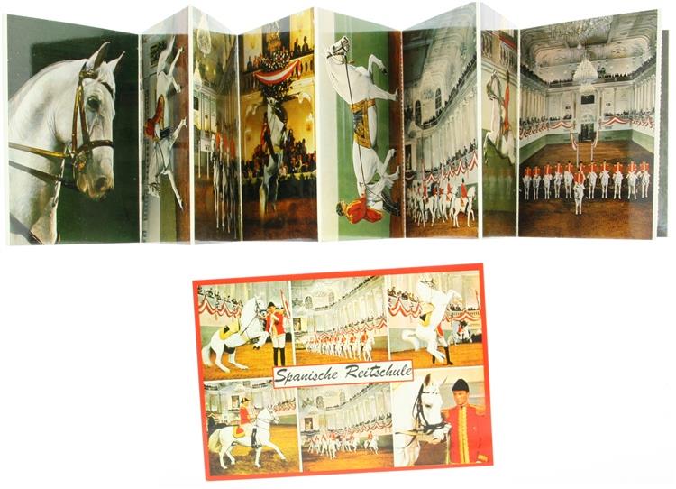 Bergoglio Libri d'Epoca Snc