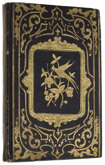 L' Oncle Severe - copertina