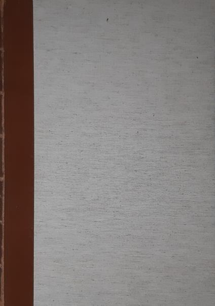 Disegni di Michelangelo 103 disegni in facsimile - copertina