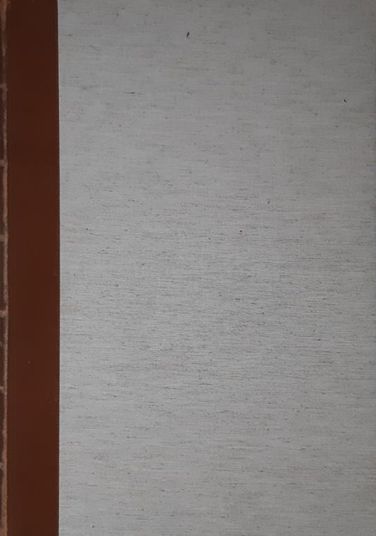 Disegni di Michelangelo 103 disegni in facsimile - copertina