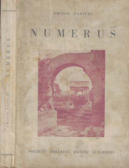 Numerus - Emidio Panichi - copertina
