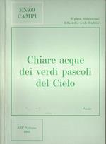 Chiare acque dei verdi pascoli del Cielo Vol. XII