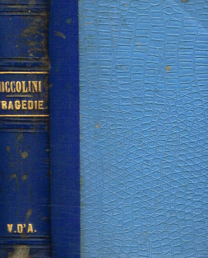 Biblioteca di Babele