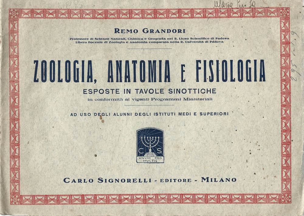 Biblioteca di Babele