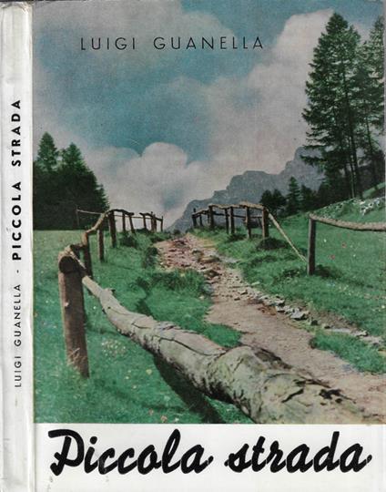 Piccola strada - Luigi Guanella - copertina
