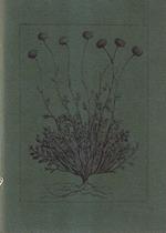 Seven Poems