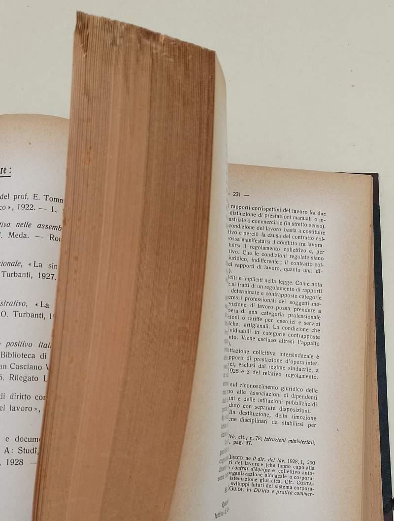 DIRITTO PROCESSUALE DEL LAVORO- vol. I-