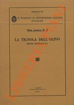 La Tignola dell'olivo (Prays oleellus F.)