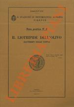Il Liotripide dell'olivo (Liothrips oleae Costa)