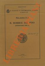 Il Bombice del Pino (Dendrolimus pini L.)