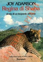 Regina di Shaba. Storia di un leopardo africano