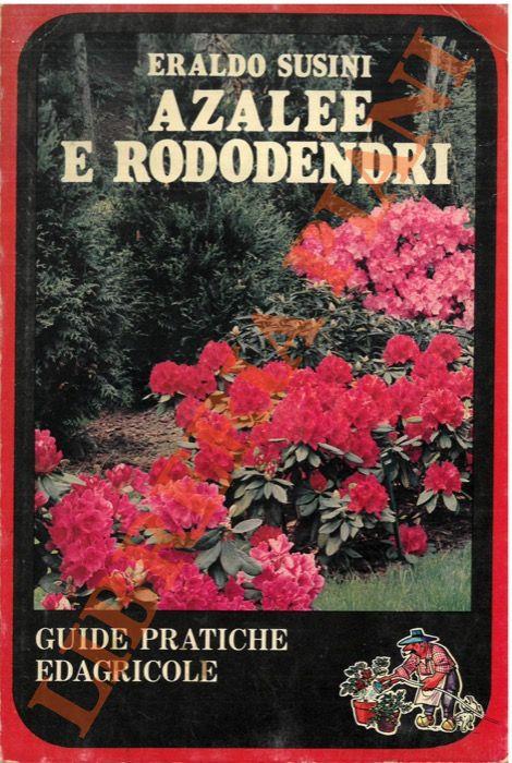 Libreria Piani