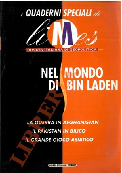 Nel mondo di Bin Laden. La guerra in Afghanistan. Il Pakistan in bilico. Il grande gioco asiatico - copertina