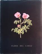 Flora del Carso