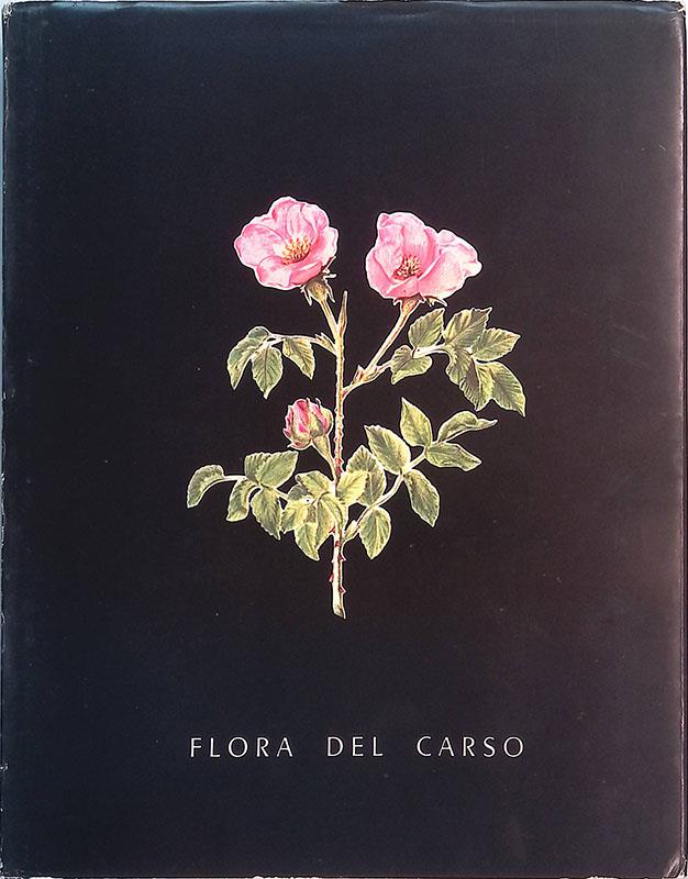 Folignolibri