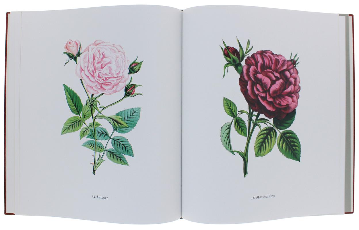 Le ROSE. Prefazione di Elena Accati Garibaldi