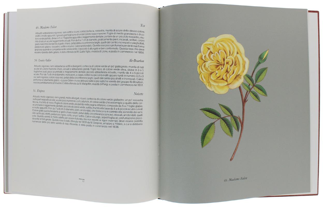 Le ROSE. Prefazione di Elena Accati Garibaldi