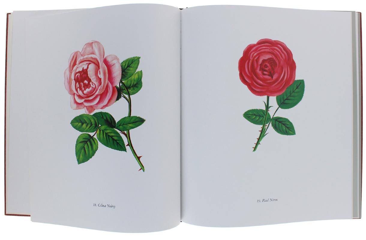 Le ROSE. Prefazione di Elena Accati Garibaldi