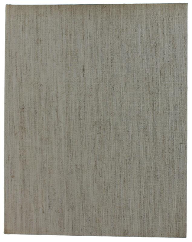 TORINO. Immagini di una città sconosciuta