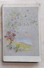 La Fiorita di Crea
