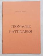 Cronache gattinaresi