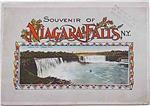Souvenir of Niagara Falls, N.Y