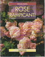 Rose rampicanti