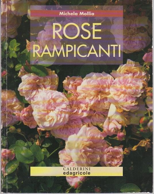 Rose rampicanti - Michela Mollia - copertina