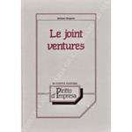 Le joint ventures. Gli accordi fra imprese