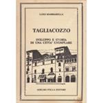 Tagliacozzo. Sviluppo e storia di una cittˆ esemplare