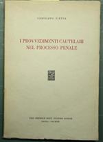 I provvedimenti cautelari nel processo penale