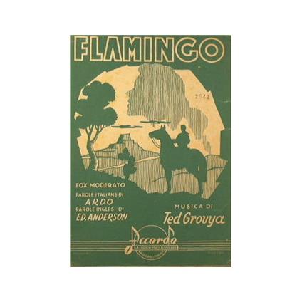 Flamingo - copertina
