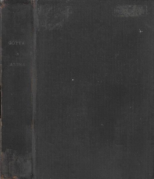 Amina - Salvatore Gotta - copertina