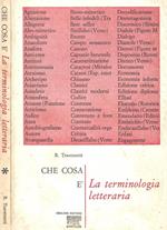 Che cosa è. La terminologia letteraria