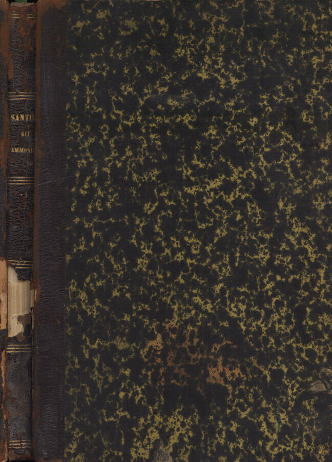 Biblioteca di Babele