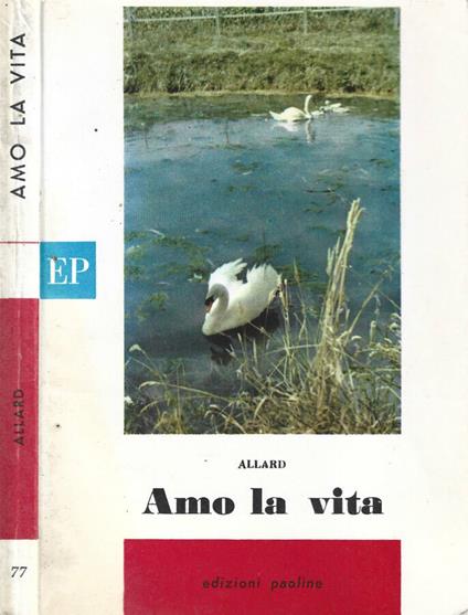 Amo la vita - copertina
