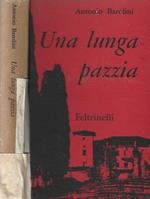 Una lunga pazzia