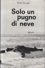 Solo Un Pugno Di Neve