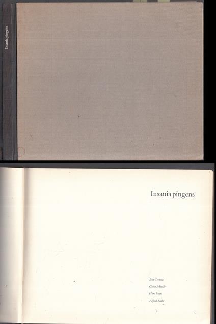 Insania Pingens - copertina