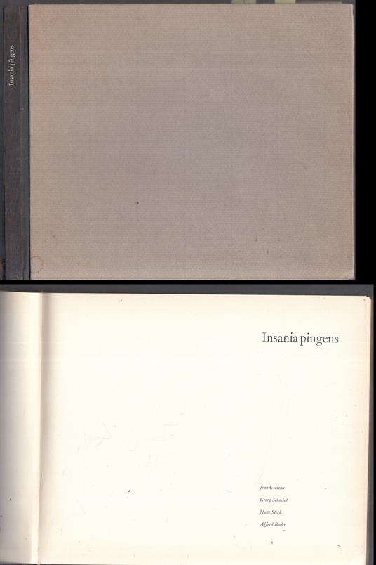 Insania Pingens - copertina