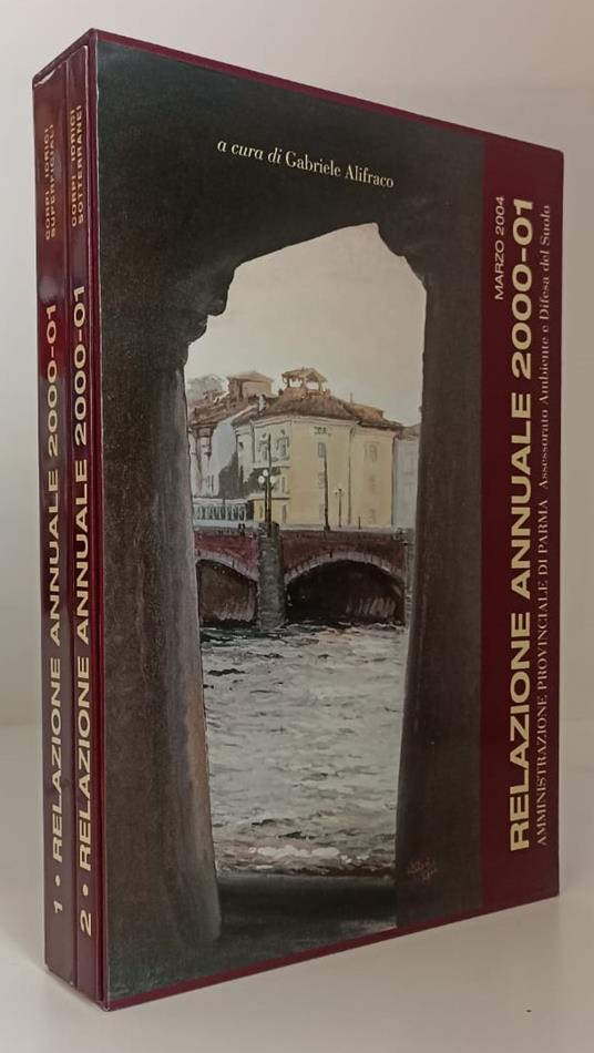 Relazione Annuale 2000/01 Corpi Idirici - copertina