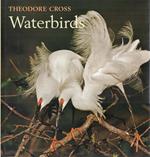 Waterbirds Fotoalbum In English