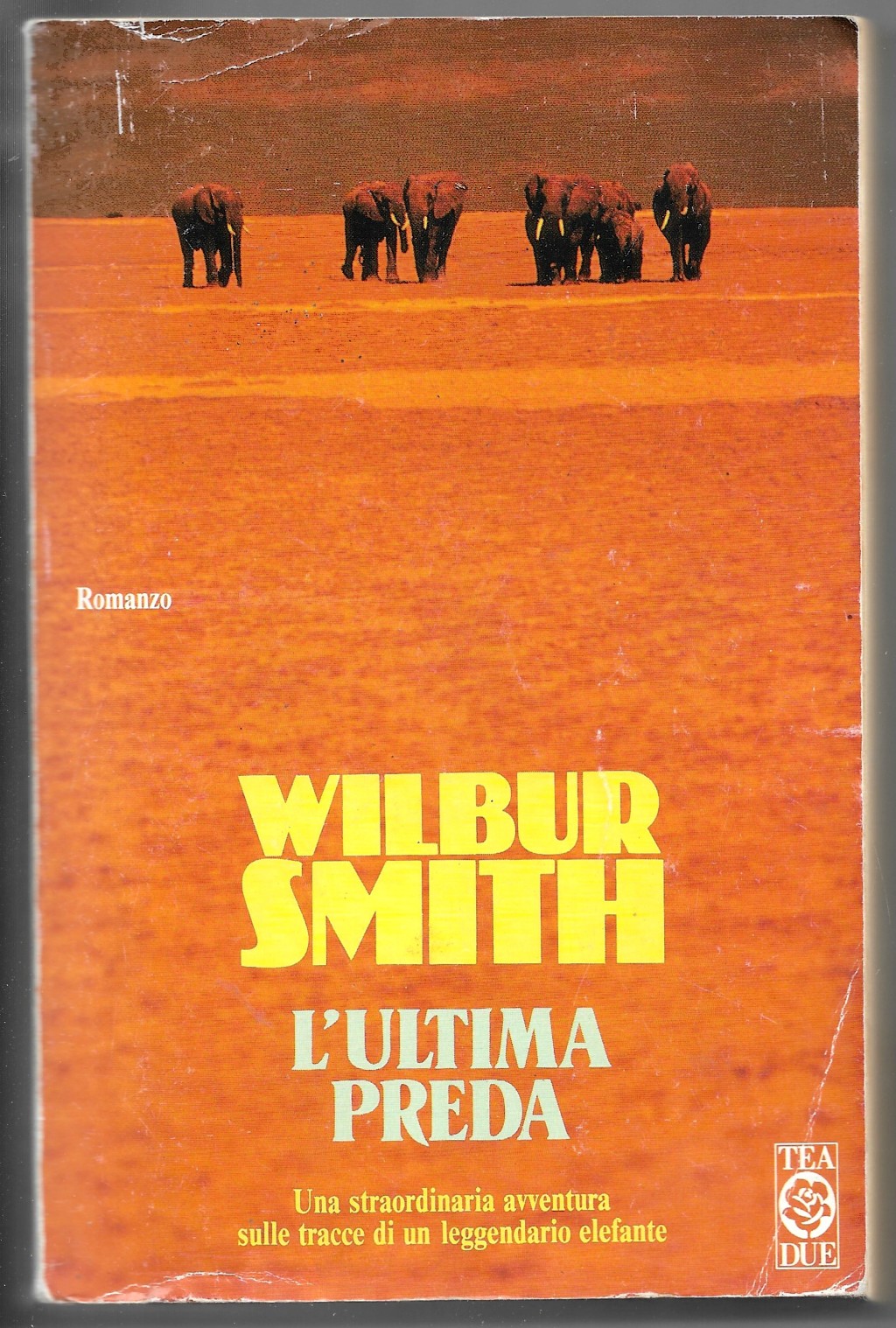 Libreria Trippini Sergio