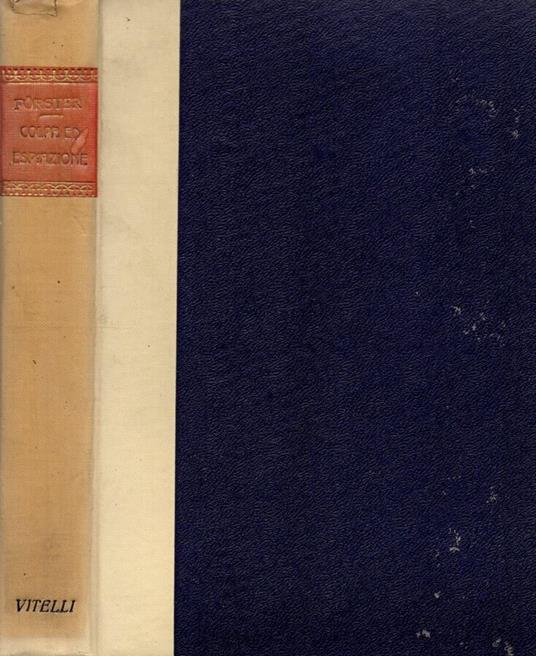 Colpa ed Espiazione - W. Forster - copertina