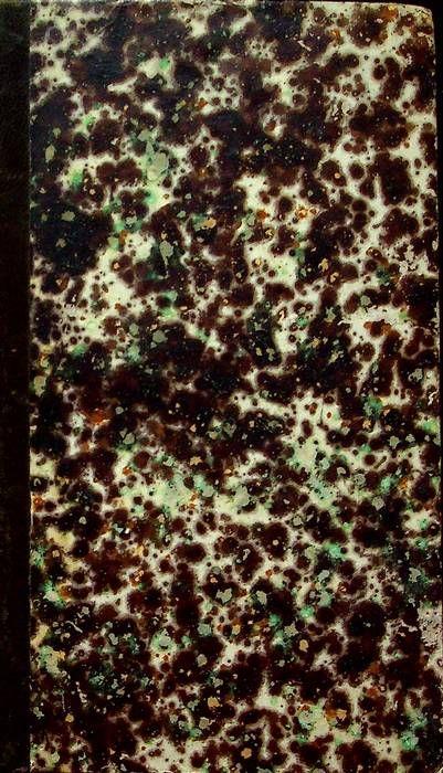 Novelle edite ed inedite; Scritti intorno alla bellezza ed allo studio della lingua italiana - Antonio Cesari - copertina