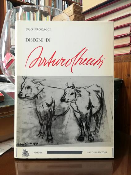Disegni di Arturo Checchi - Ugo Procacci - copertina