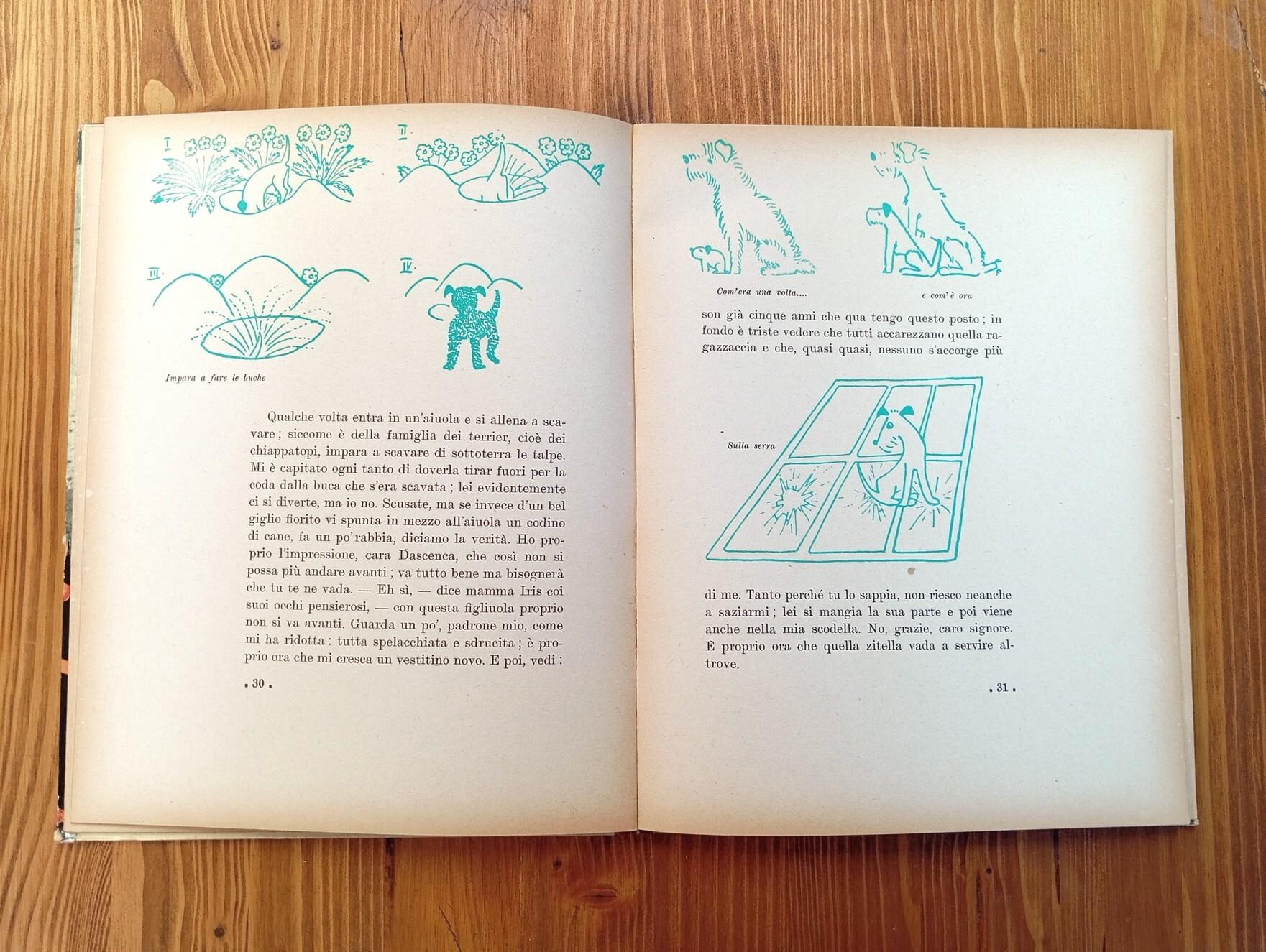 Dascenca Via D'un Cucciolo