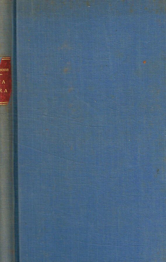 Biblioteca di Babele