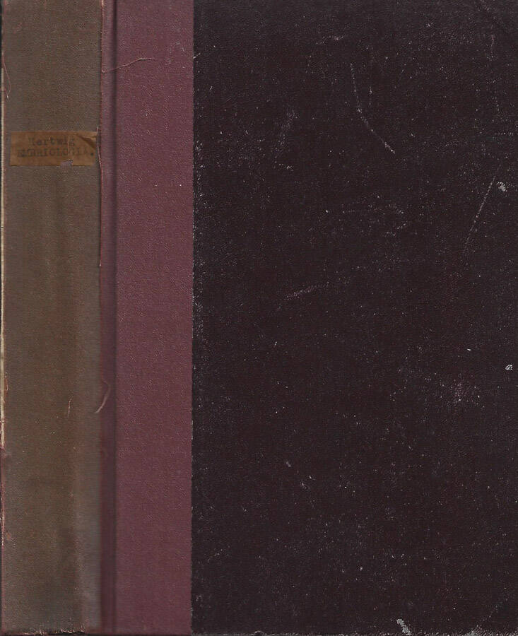 Biblioteca di Babele