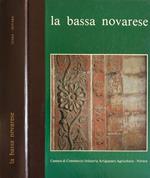 La bassa novarese